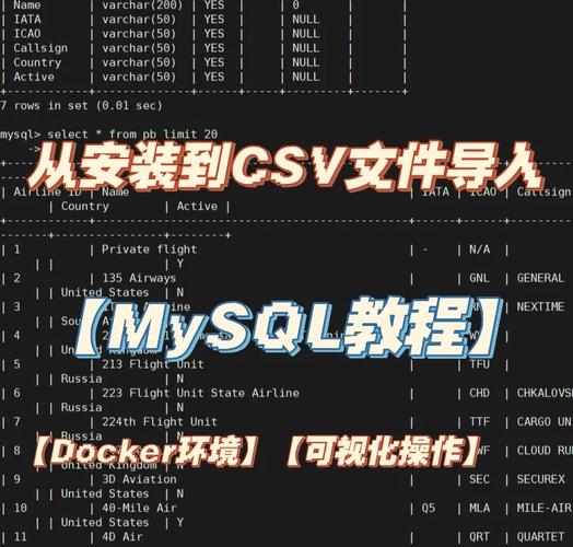 深入探索SQL语言，DEDE runphp=yes 语句如何运作？插图4