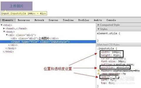 如何解决输入按钮在不同环境下显示不一致的问题？