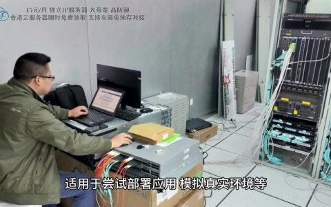 双核处理器和1GB内存的服务器有哪些实际应用场景？