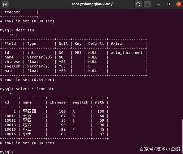 如何在C中使用MySQL进行网络数据库开发？插图2