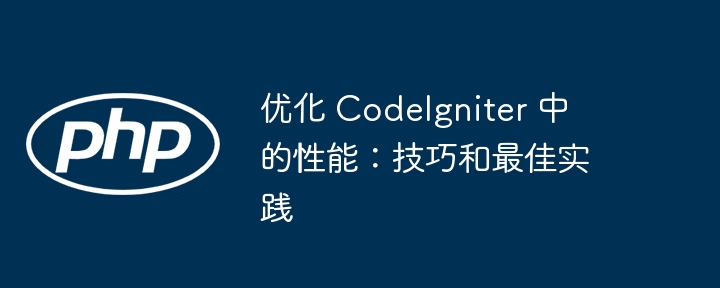 优化 CodeIgniter 中的性能：技巧和最佳实践插图