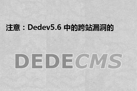 如何有效修复Dedev5.6中的跨站脚本漏洞？插图