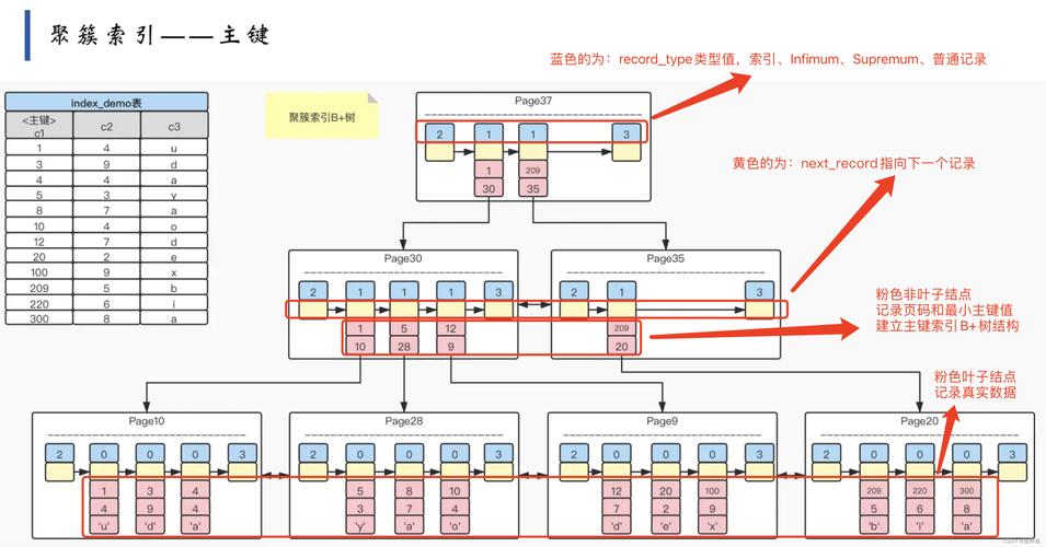 如何在MySQL中添加新的数据库？插图4