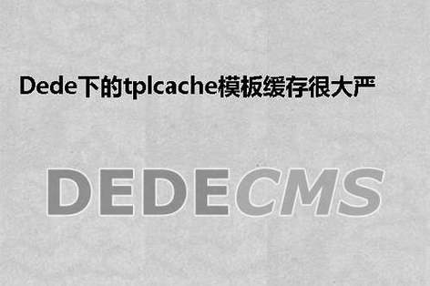 如何防止DedeCMS中的Tag标签在输入逗号后自动转换为英文格式？插图2