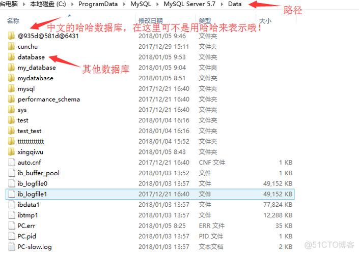 如何高效管理MySQL数据库中的大文本数据？插图