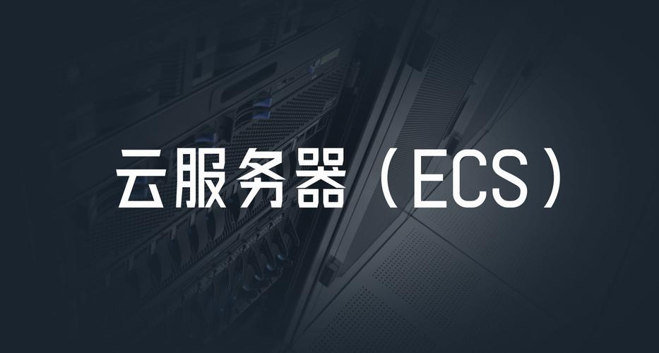 ECS云服务器，企业计算的未来之选？插图