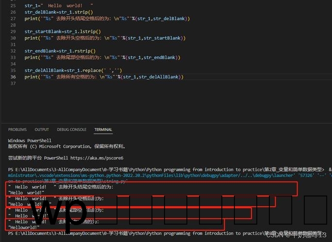 如何在Python中清除字符串中的空格？插图