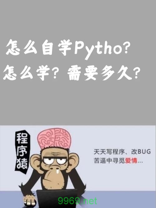 如何高效学习Python并理解提现流程的时间要求？插图4