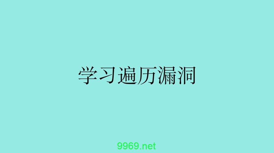 如何有效地利用漏洞学习来提升网络安全技能？插图