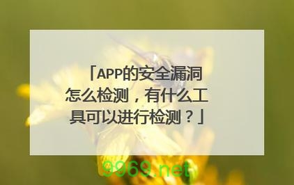 如何有效识别和防范安全漏洞？插图2