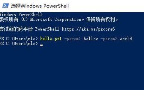 如何解决PowerShell脚本执行过程中的异常问题？