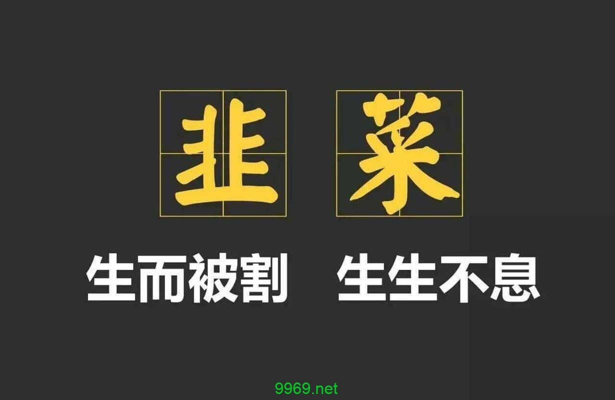 CDN服务用户是否正面临不公平的收费模式？插图