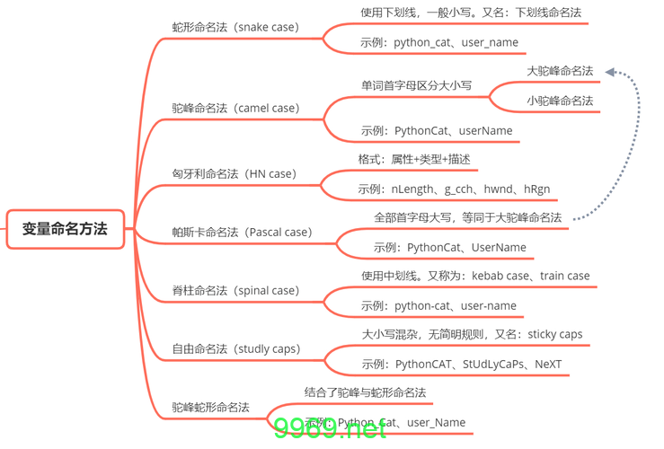 如何遵循Python命名规则来为桌面应用命名？插图