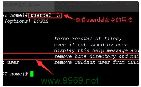 如何在Linux FTP中执行删除操作？插图4