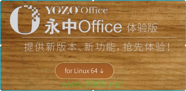 如何在Linux系统上成功安装永中Office？插图2