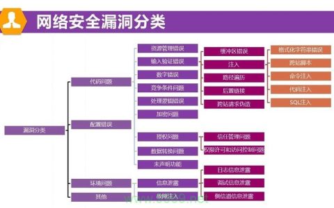 如何全面理解并分类软件漏洞的不同类型？