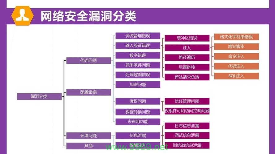 如何全面理解并分类软件漏洞的不同类型？插图