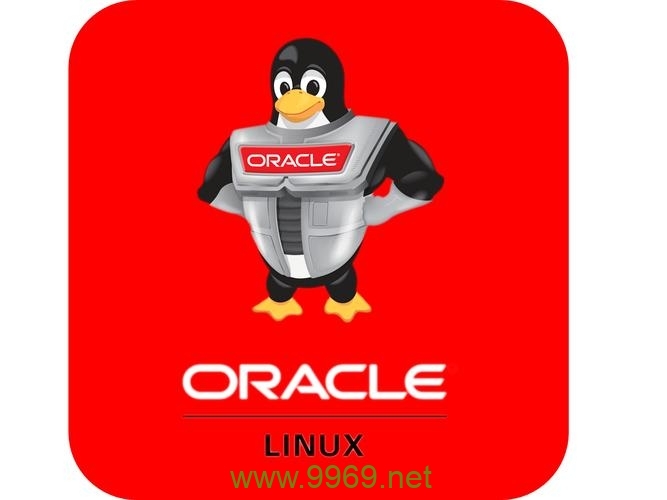 如何在Linux上安装cx_Oracle模块？插图