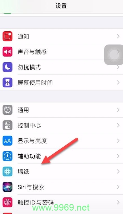 如何启用苹果手机的CDN功能？插图