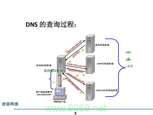 如何在Linux系统中使用yum命令安装DNS服务？插图4