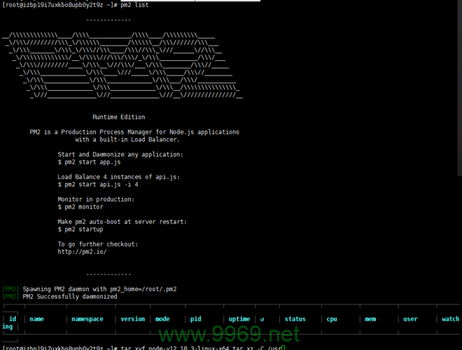如何在Linux系统中监控和管理PM2进程？插图4