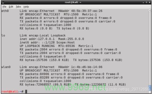 如何在Kali Linux中检查网卡信息？插图2
