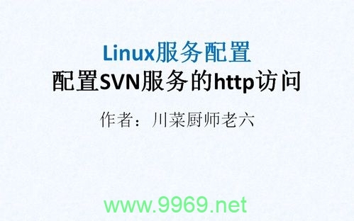 如何在Linux环境下配置SVN以实现外网访问？插图