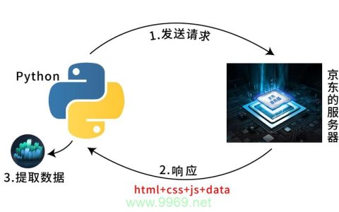 如何使用Python从服务器获取数据？