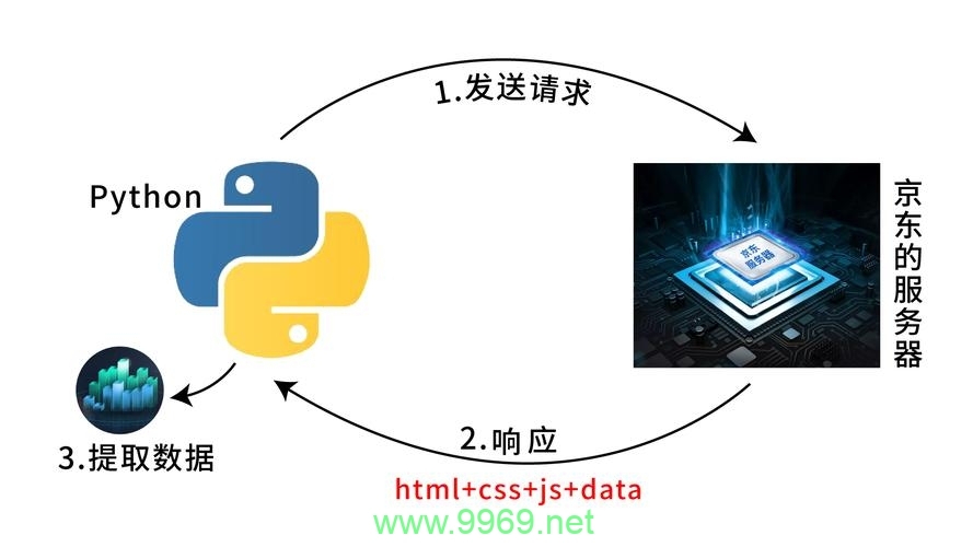 如何使用Python从服务器获取数据？插图