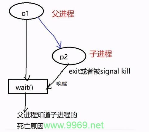 如何在Linux中终止一个父进程而不影响到它的子进程？插图