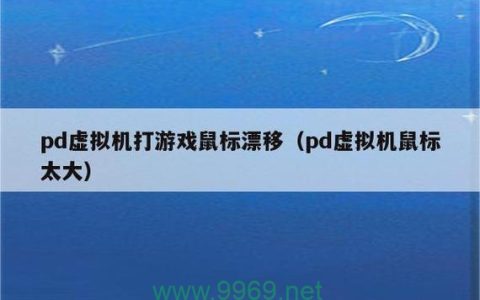 如何解决PD虚拟机中鼠标指针过大的问题？