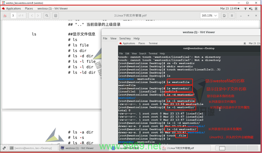 如何在Linux中查看root用户的主目录文件？插图