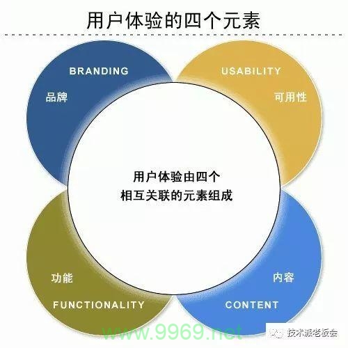 搜索引擎如何进行分支判断以提升搜索结果的相关性？插图2