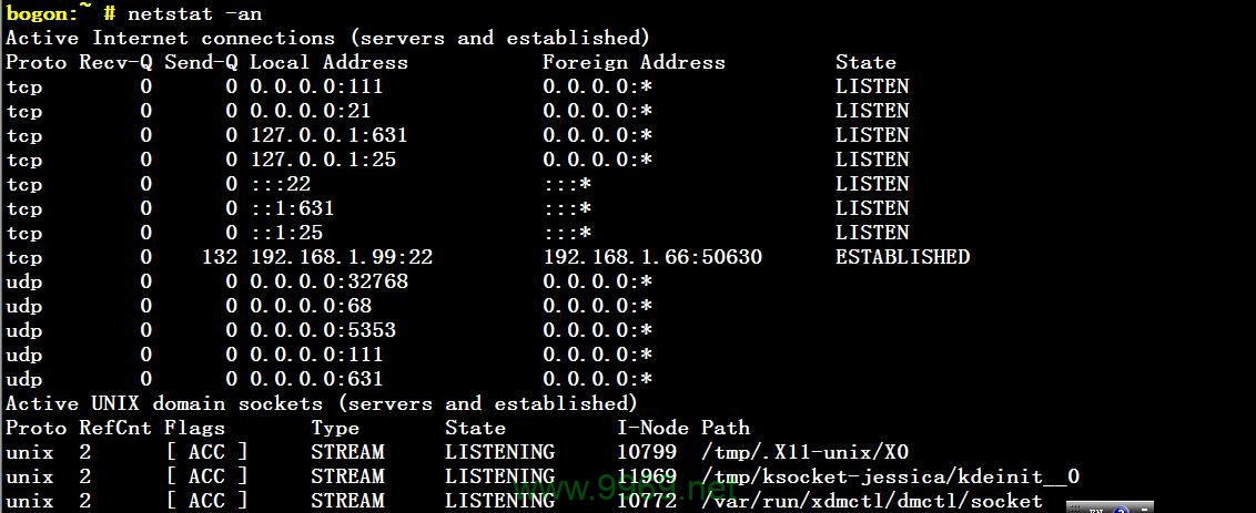 为什么Linux系统无法解析并ping到指定的域名？插图2