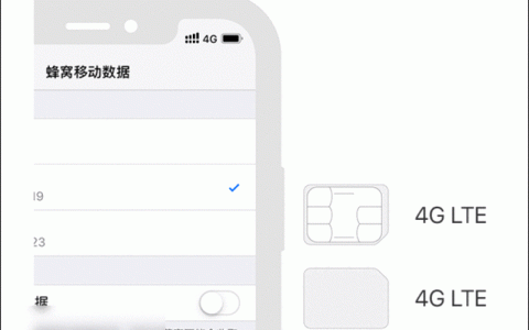 苹果双卡手机流量为何异常缓慢？
