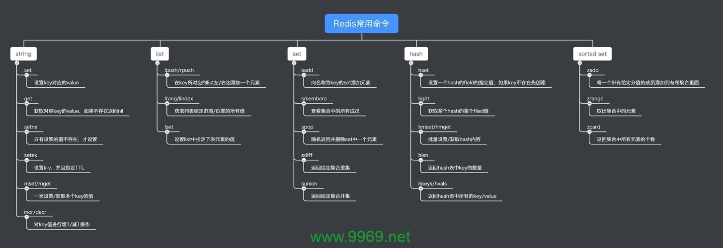 如何使用Redis命令查询代理服务器的值？插图