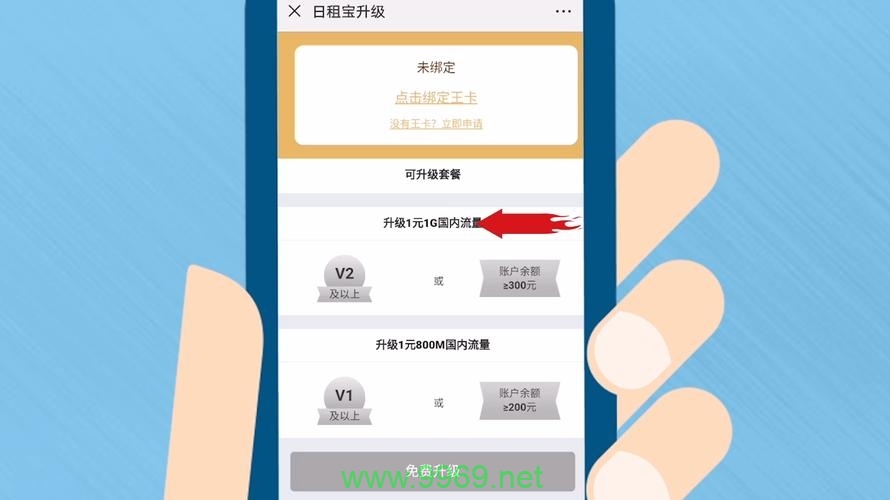 如何为我的大王卡升级流量套餐？插图