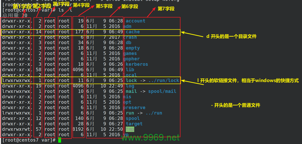 Linux系统中的ls命令有哪些高级用法和技巧？插图