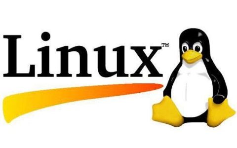 哪个国家是Linux操作系统的发源地？