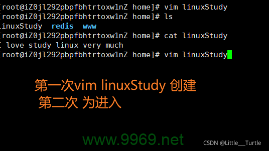 如何在Linux中使用vi编辑器打开只读文件？插图2