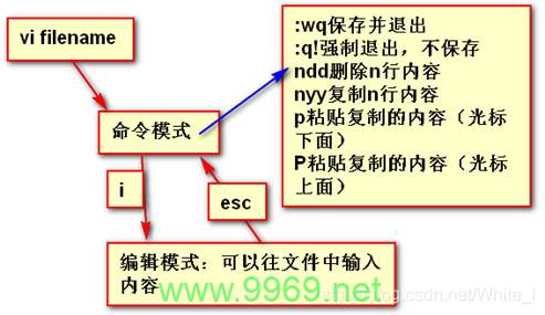 如何在Linux中使用vi编辑器打开只读文件？插图