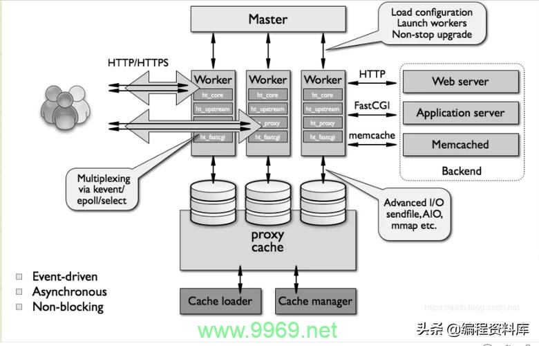 如何检查Linux系统中的Nginx是否已成功启动？插图