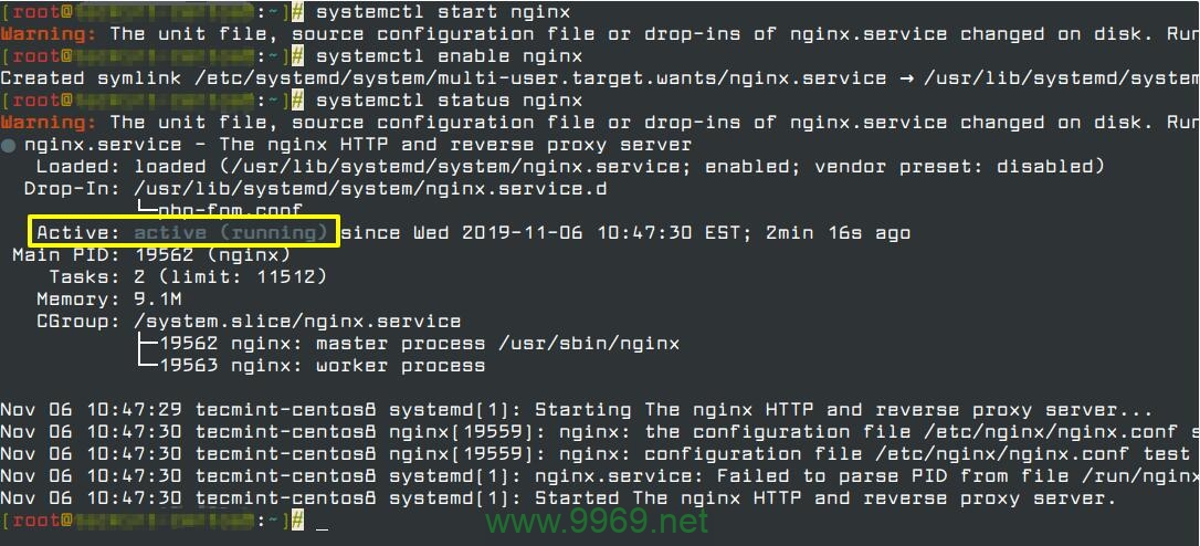 如何检查Linux系统中的Nginx是否已成功启动？插图4