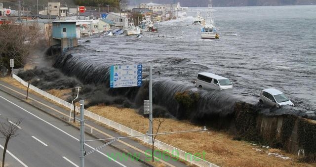 海洋漏洞，我们如何应对日益严重的海洋污染问题？插图2