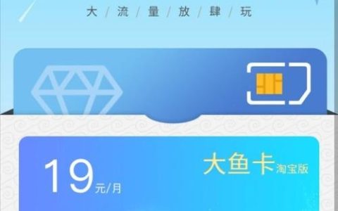 大鱼卡流量之王，哪款提供最丰富的数据服务？