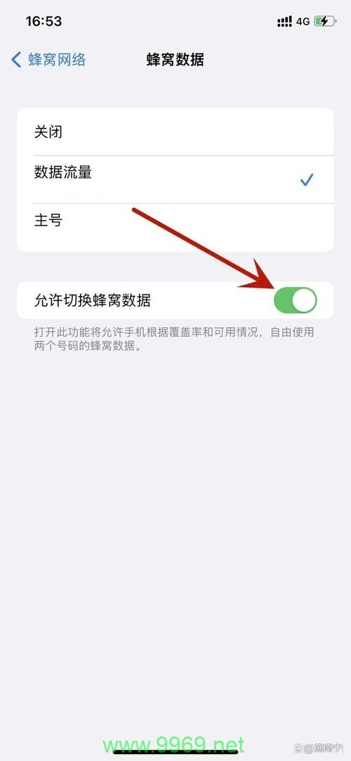 为什么使用苹果双卡功能时流量速度会特别慢？插图