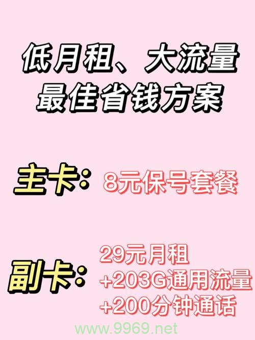 如何操作99流量卡加副卡以发挥其优势？需注意哪些事项？插图4