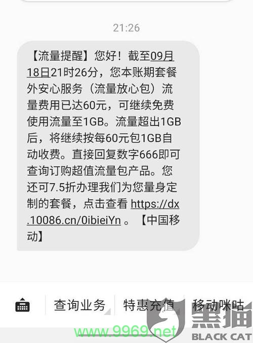 如何避免小鱼卡流量超支并有效管理以避免不必要的额外费用？插图