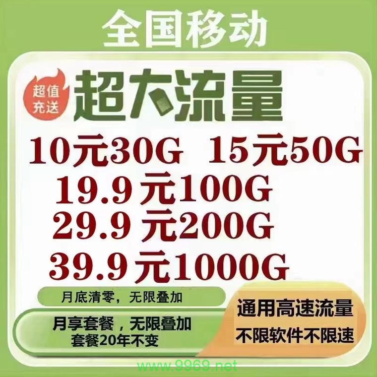 一千g流量卡的隐藏费用有哪些？，如何判断一千g流量卡是否适合我的使用习惯？，一千g流量卡的客户服务体验怎么样？，使用一千g流量卡时，数据安全性如何保证？，购买一千g流量卡后，激活和设置流程复杂吗？，对于初次使用一千g流量卡的用户，有哪些入门指南？，一千g流量卡在网络高峰期的表现如何？，如果我不满意一千g流量卡的服务，退货政策是怎样的？，一千g流量卡提供的额外功能或服务有哪些？，10. 如何监控和控制一千g流量卡的数据使用情况以避免超支？插图